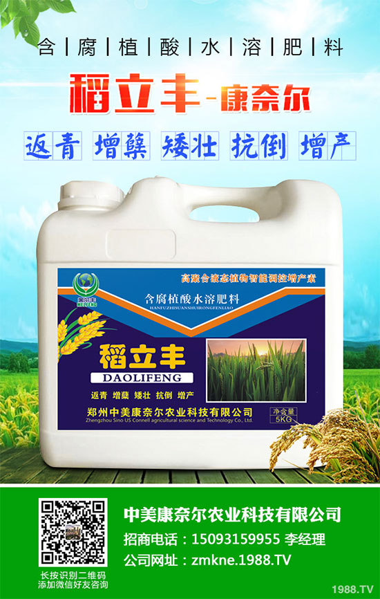 С�����·����������������ж��Ӱ���ԓ����a����С�����·��r(n��ng)��ָ��