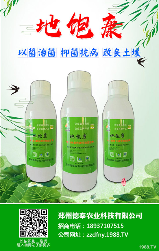 �ϹϺ��ǲ�����Щ�Y�����ϹϺ��ǲ����η���