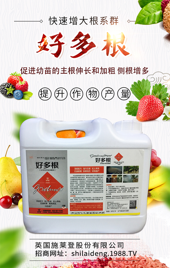 春季菠菜在什么時(shí)候種植好？菠菜種植技術(shù)要點(diǎn)有哪些？	