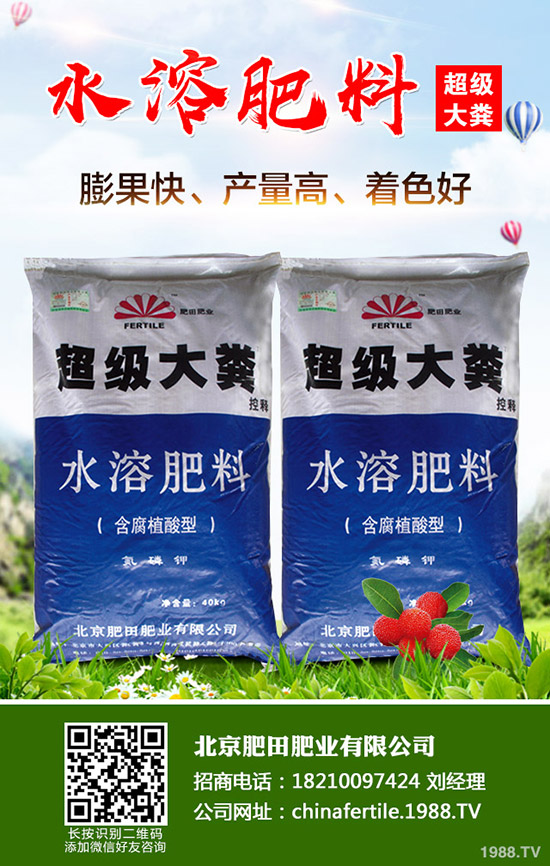 ���Ѵ�����������Ҫ��Щʲô���������ѹ������g(sh��)��