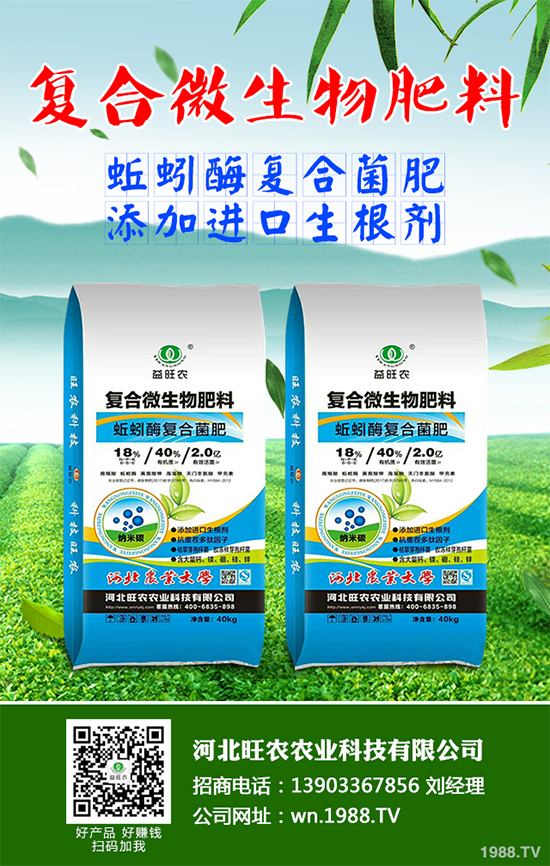 洋桔梗該如何種植？洋桔梗栽培種植技術(shù)