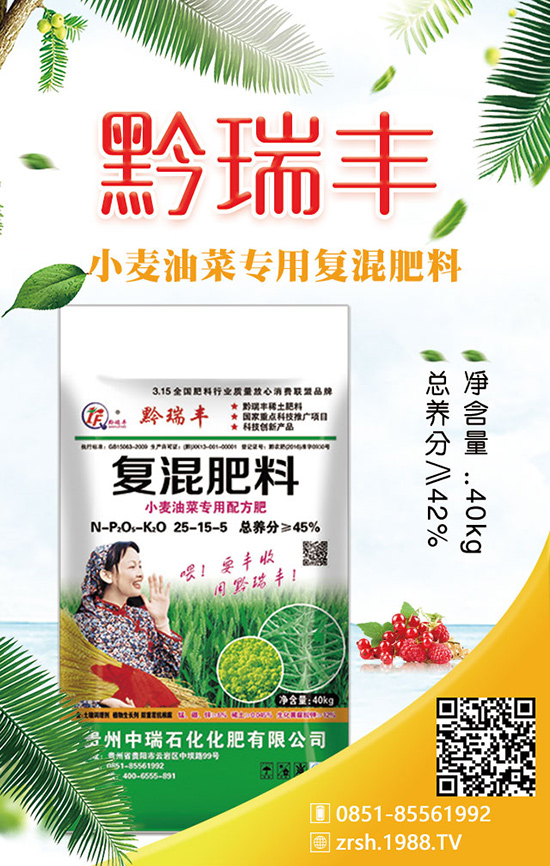 春季種植菠菜的四個(gè)環(huán)節(jié)