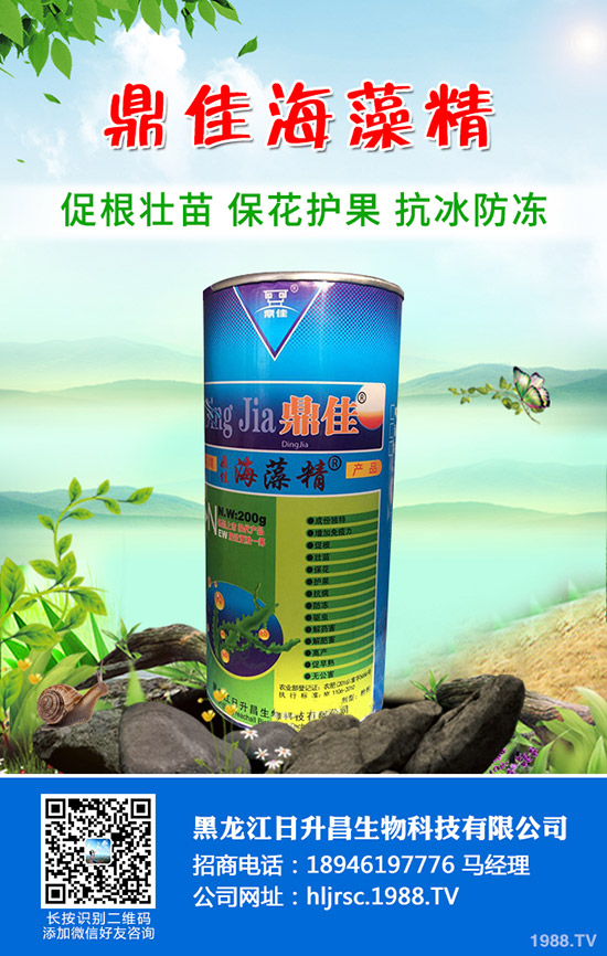 辣椒怎么育苗產(chǎn)量好,辣椒育苗技術(shù)要點(diǎn)!