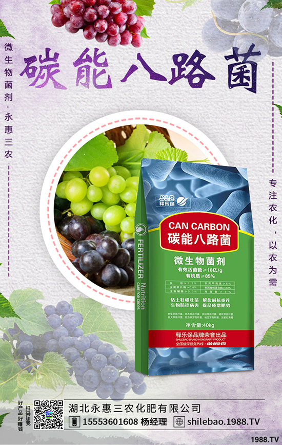 莧菜種植時間是什么時候，莧菜種植方法技術(shù)