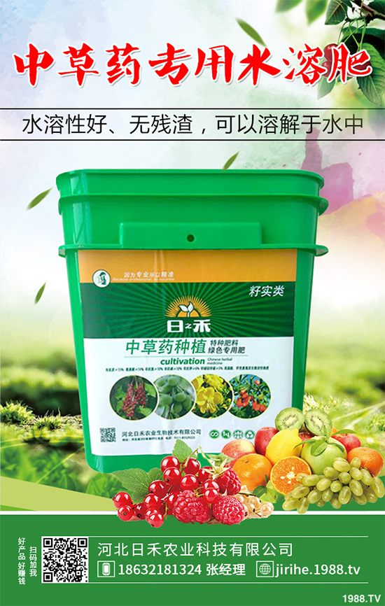 射干該怎么種植？中藥材射干的種植技術(shù)要點