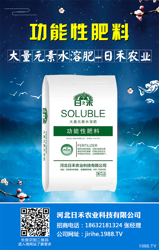 射干該怎么種植？中藥材射干的種植技術(shù)要點