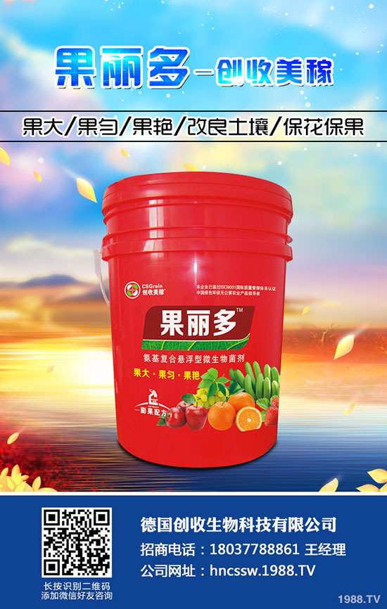 菠菜死苗是怎么回事？菠菜死苗什么原因引起？如何防治？