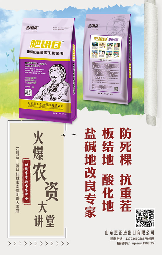 萵筍什么時(shí)間種植？萵筍播種期增產(chǎn)措施！