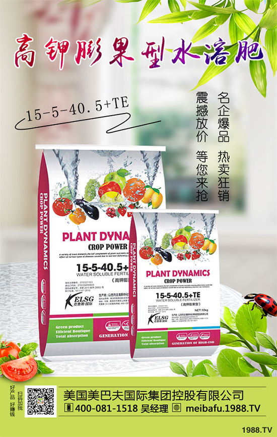 �ϹϷ��Ďׂ����L�A�����Ϲό��������I�B(y��ng)Ҫ��