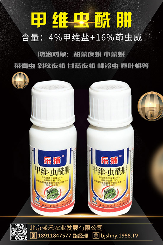 С���t֩��İl(f��)��Ҏ(gu��)������Щ��С���t֩����δ�ʩ��