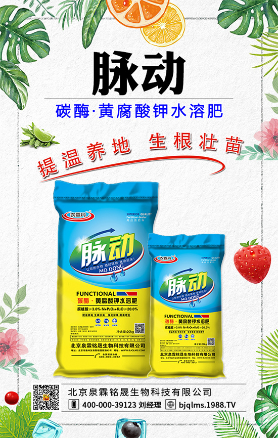 蒲公英藥用價(jià)值有哪些？蒲公英作用及功效！