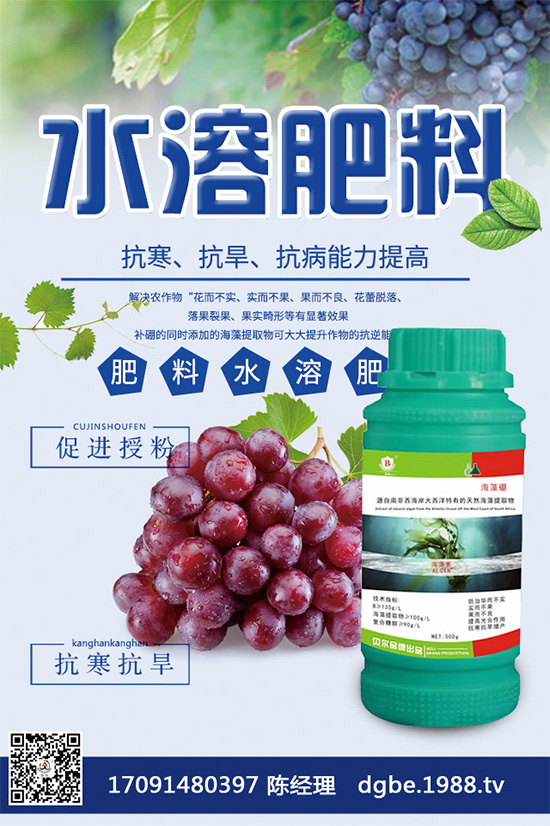 露地西瓜該如何育苗？春季露地西瓜高產(chǎn)栽培技術(shù)