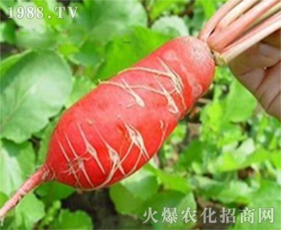 �}����Ǹ�