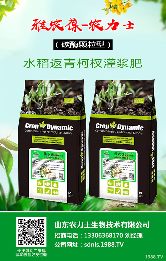     ��(gu��)��(n��i)���؃r(ji��)��С��̽�q���������������߄�(sh��)�C���A(y��)�y(c��)2020-4-16