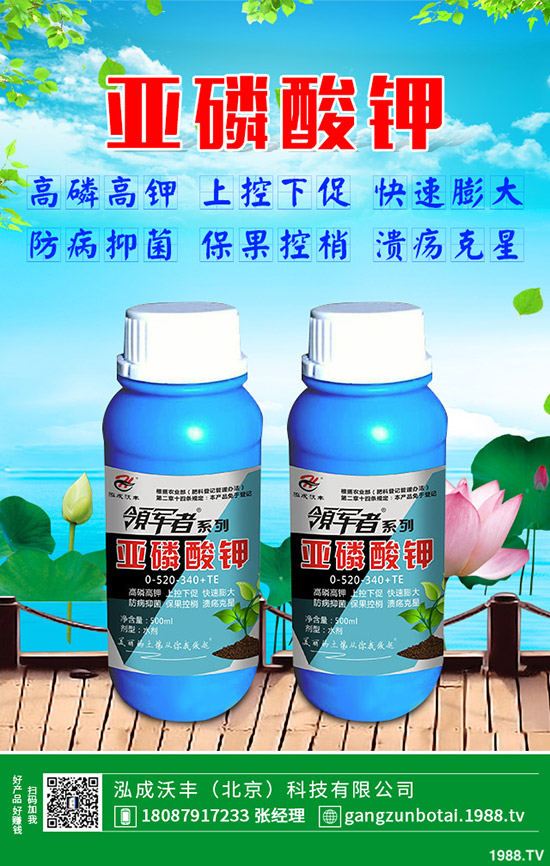 �S�Ϗ�����ʲôԭ�������S�Ϗ��ϸ���Ҫ�E��