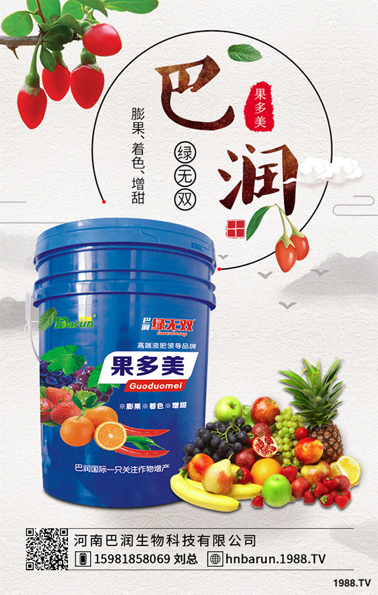     露地番茄該如何定植？定植密度是高產(chǎn)重要措施，快看看老農(nóng)怎么做！