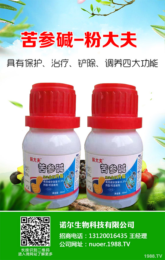 �{�����ӵă�(y��u)�������x���δ��ֲ���Ј��д�������