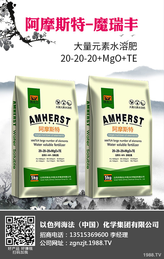 2020�괺����ʲô�r(sh��)�g���N�������׷Nֲ���g(sh��)