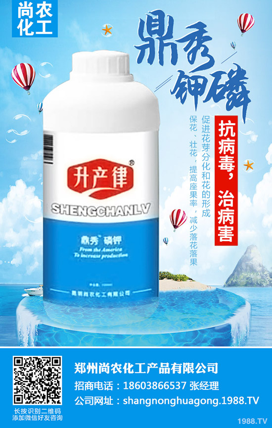     ���{(l��n)���Y(ji��)����ô�k�����{(l��n)���Y(ji��)��ԭ�򼰷��δ�ʩ��