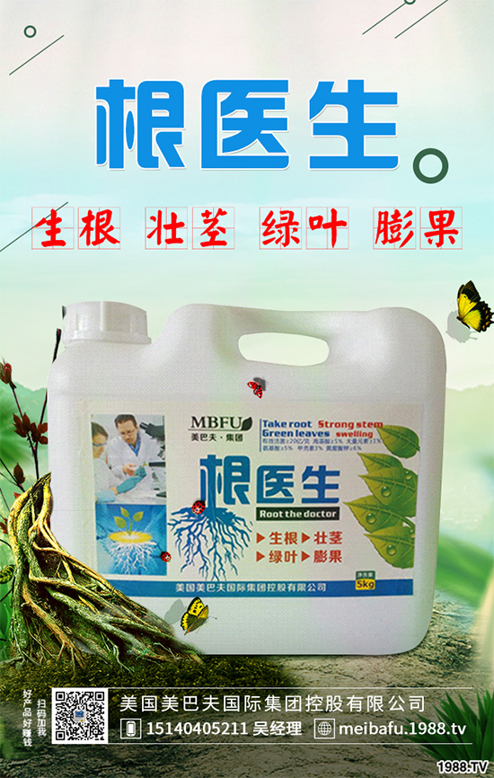 春花生什么時候播種？春花生的播種時間及注意事項