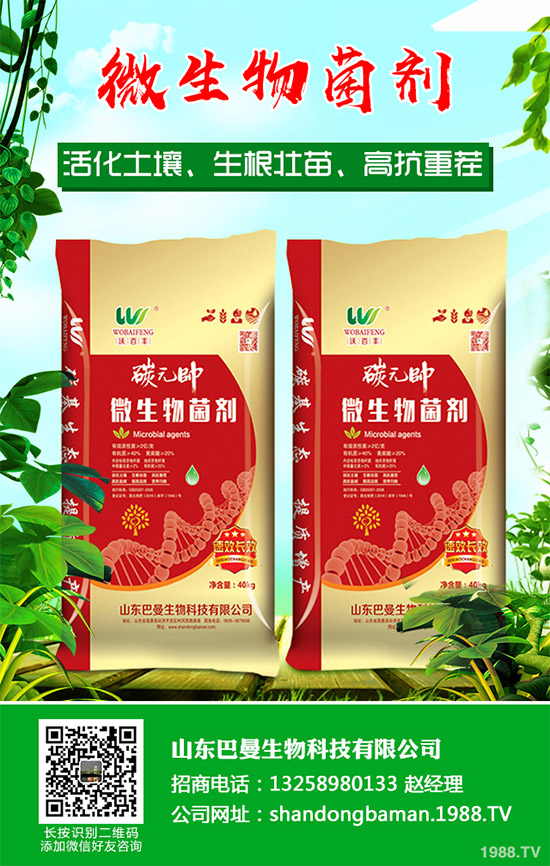 春花生播種后爛種是啥原因？該如何預(yù)防？農(nóng)民們必看的增產(chǎn)高產(chǎn)方案！