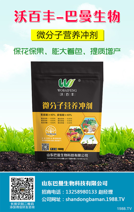 春花生播種的常見誤區(qū)，不少農(nóng)戶犯過錯(cuò)（附解決方案）