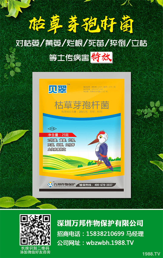 С����ù��ˎ������Ч����������׃����