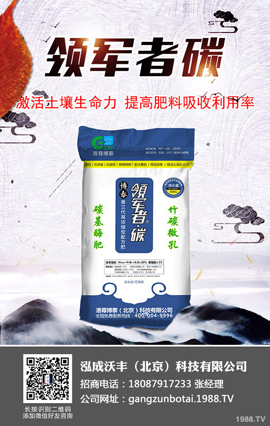 大棚土豆種植更高溫度多少？大棚馬鈴薯如何種植效益高？