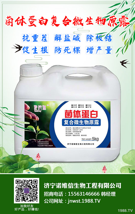大豆施用硼肥有哪些好處？大豆施用硼肥的技術！