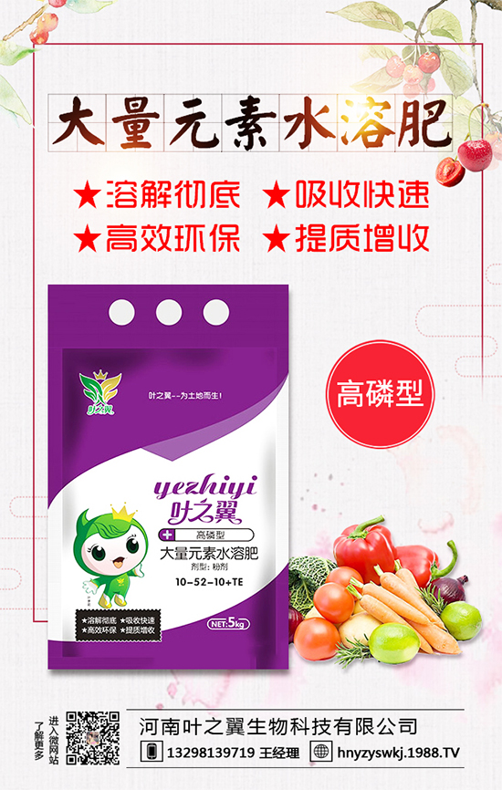 �������L��(x��)������Щ�����ɵ����g����Ҫ�c��