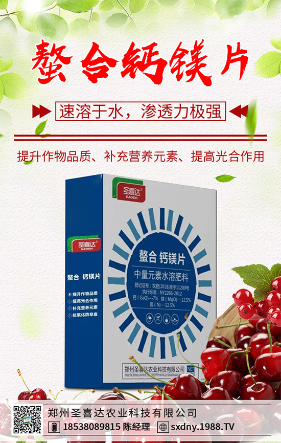 油麥菜該如何育苗？油麥菜的高產(chǎn)栽培管理技術(shù)