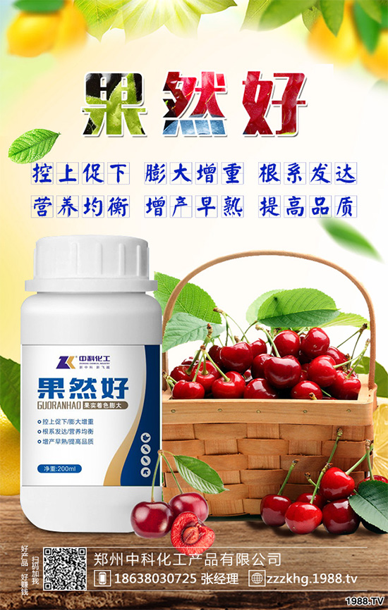 油麥菜有哪些營(yíng)養(yǎng)價(jià)值？常吃油麥菜那些神奇效果？一起看看吧！