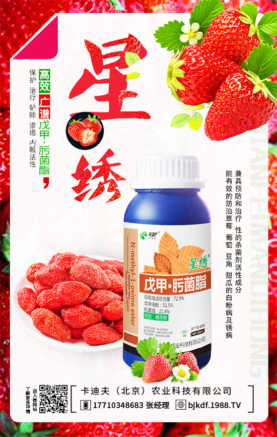 ����Ҫ��Ҫ���������������_��֦�������