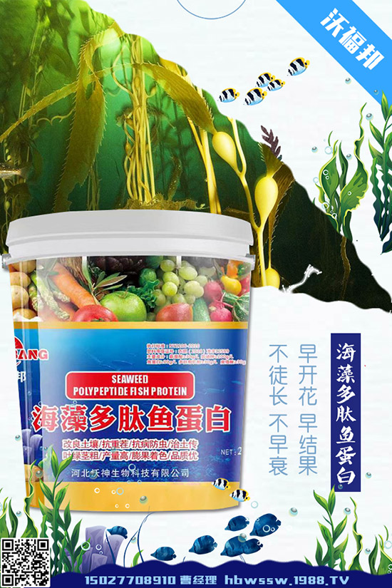     ���ӷNֲ��Ҫע����Щ���}�����ӵ�ˮ�ʹ���Ҫ�c(di��n)��