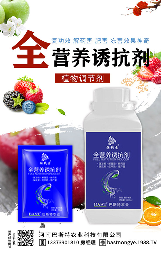 �Y(ji��)����{(l��n)��ôʩ�����Y(ji��)����{(l��n)��ʩ�ʼ��g(sh��)��