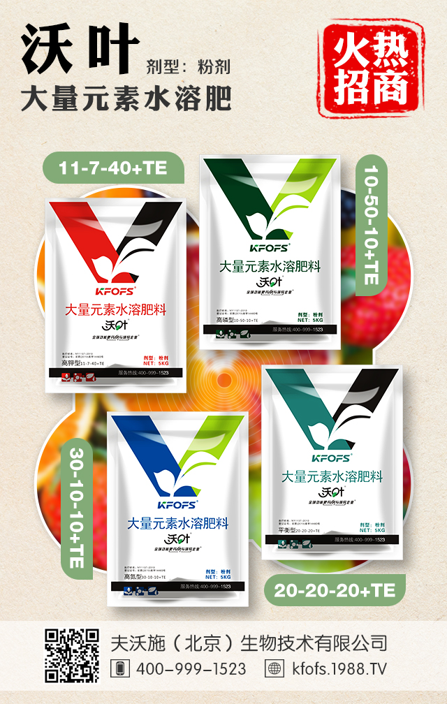 ����ʩ�����������＼�g���޹�˾