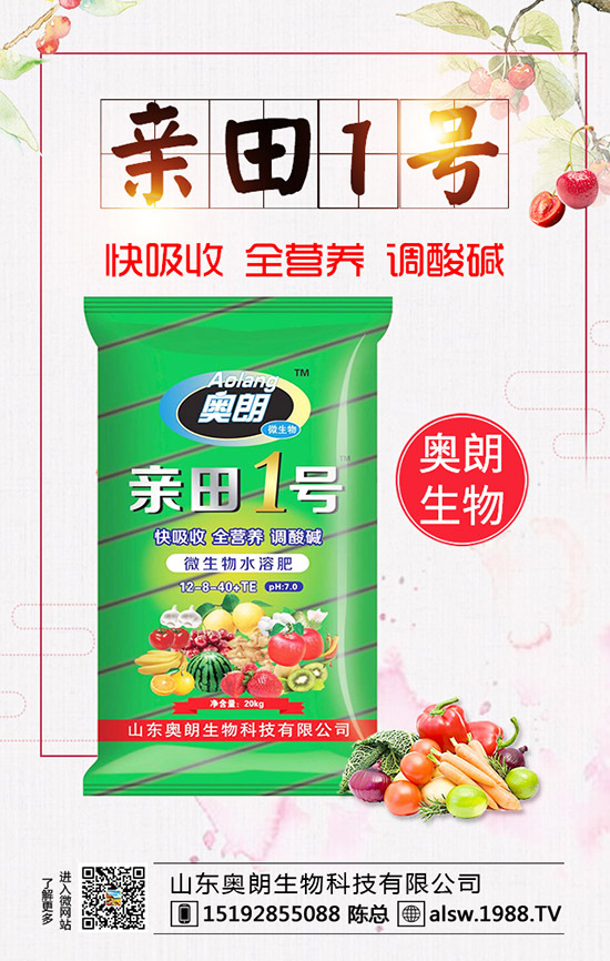  蘆筍種子處理及育苗技術(shù)，蘆筍定植后要如何管理？