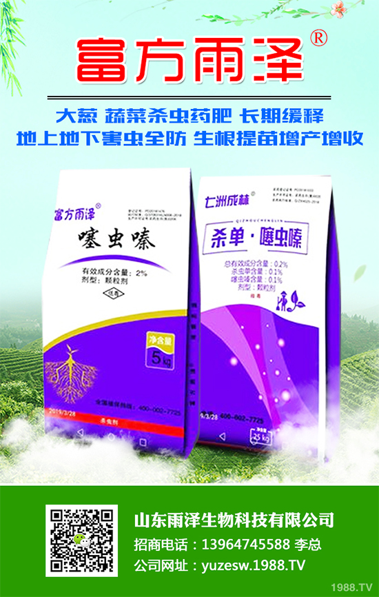 秋葵什么時間種植？秋葵種植生長環(huán)境及整枝技術(shù)！