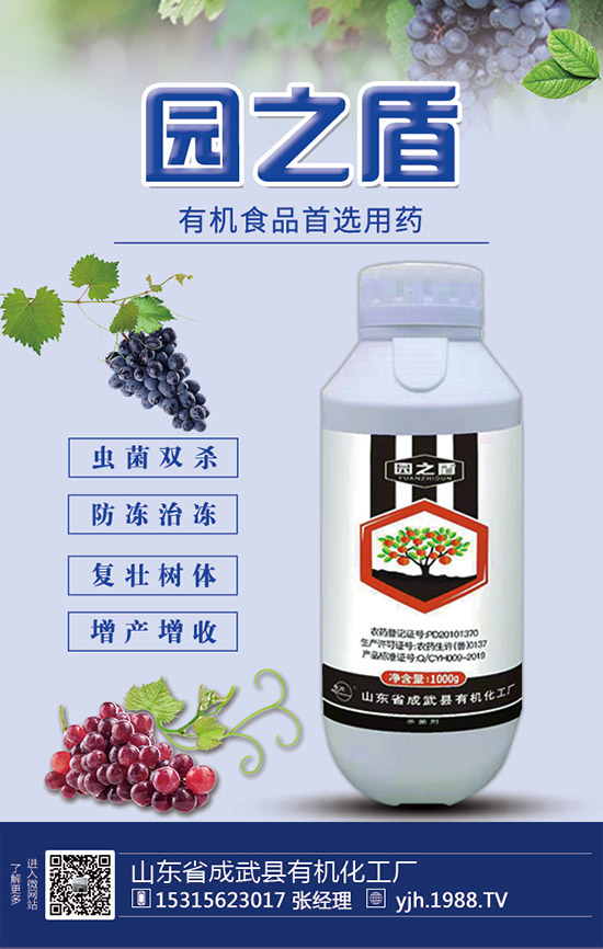 甘蔗需肥特性，甘蔗施肥技術(shù)和要點！