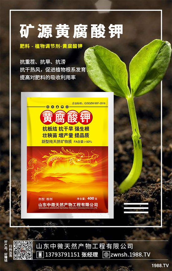 吳茱萸該如何繁殖？吳茱萸的繁殖技術(shù)栽培管理