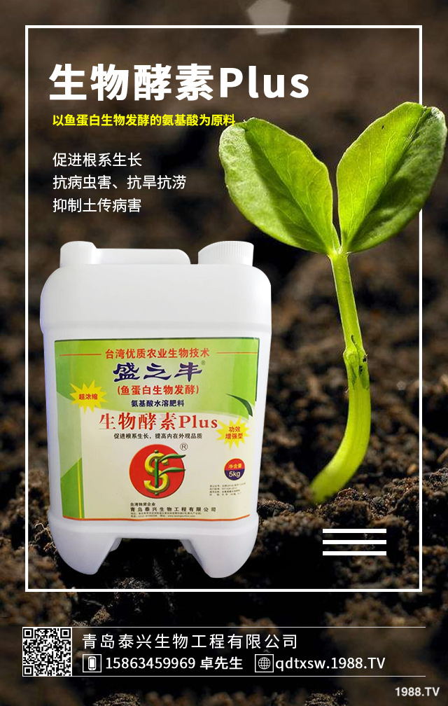 卷心菜該如何挑選？卷心菜的選購(gòu)技巧及功效作用