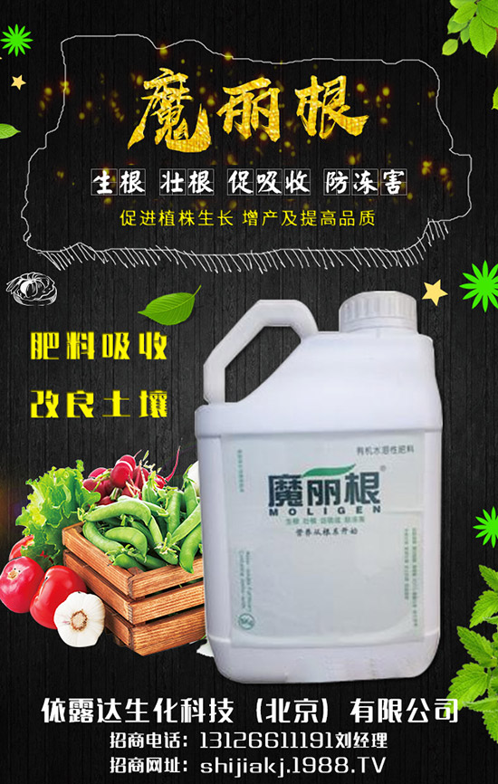 香蔥對環(huán)境的要求有哪些，香蔥的種植季節(jié)及日常管理！