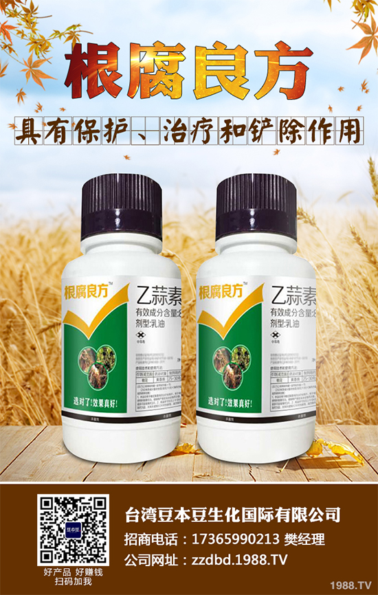 �O���������r(ji��)��