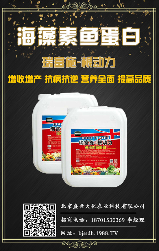 土茯苓是什么植物？土茯苓的功效與作用有哪些？