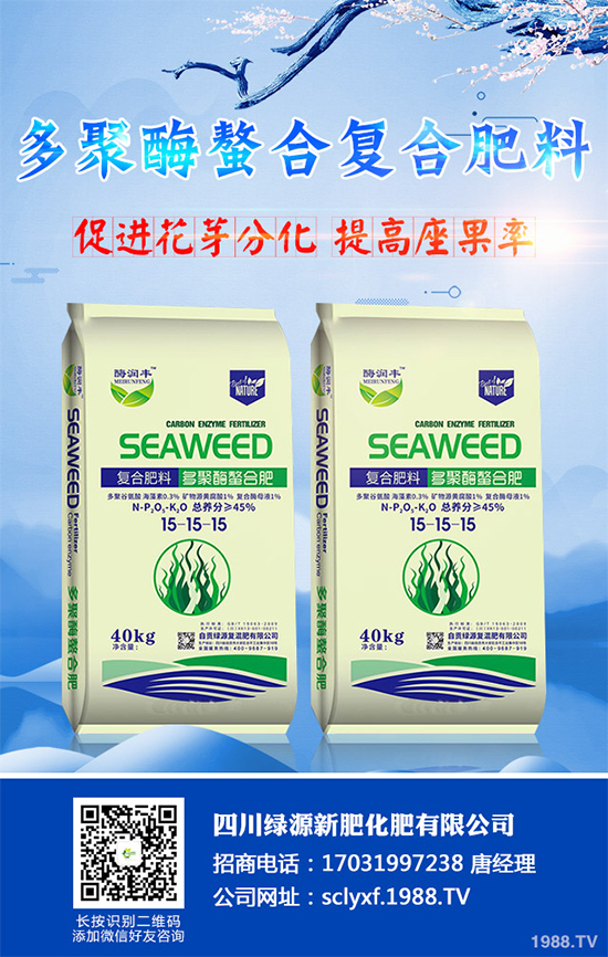 向日葵什么時(shí)候播種？該如何管理？高產(chǎn)向日葵高產(chǎn)種植管理技術(shù)