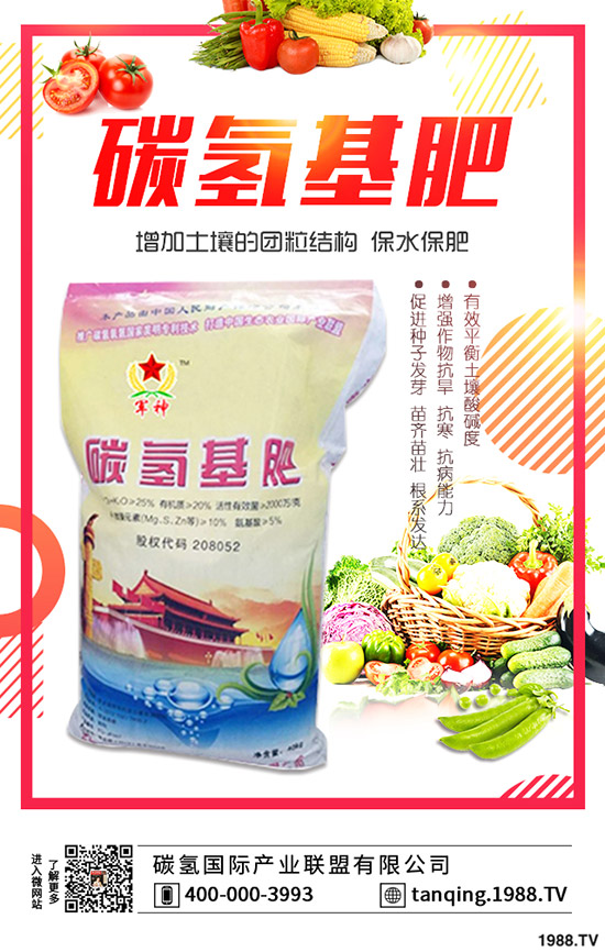 茶花盆景如何施肥，茶花盆景的施肥技巧有哪些