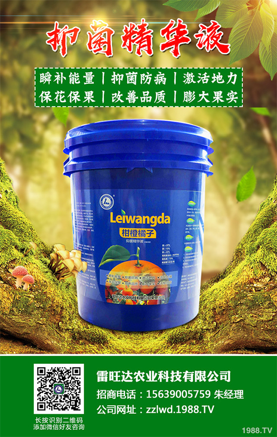 �~�Ȳ��Ј��r������Xһ����2020���~�ȲݵķNֲЧ�����