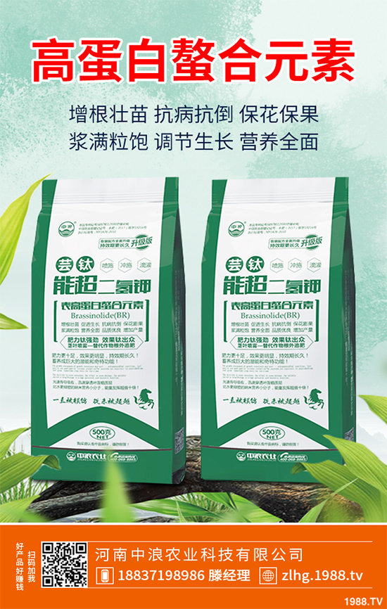 山楂什么時候種植？山楂樹高產(chǎn)種植方案