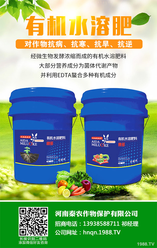 山楂什么時候種植？山楂樹高產(chǎn)種植方案