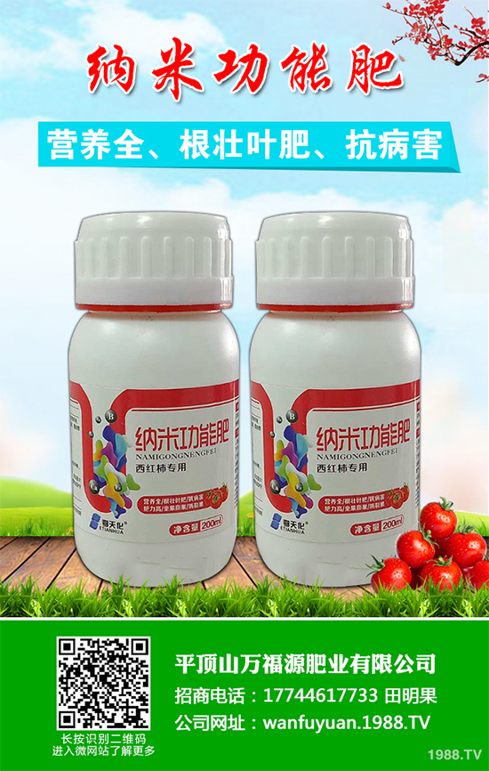 水蜜桃該如何種植？五步教你輕松種出肉厚多汁水蜜桃！